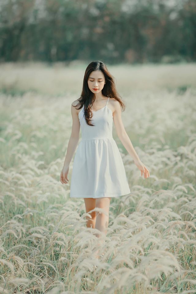 毛片毛片毛片毛片毛片毛片