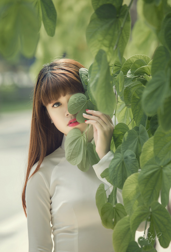 櫻花草在線播放免費(fèi)中文