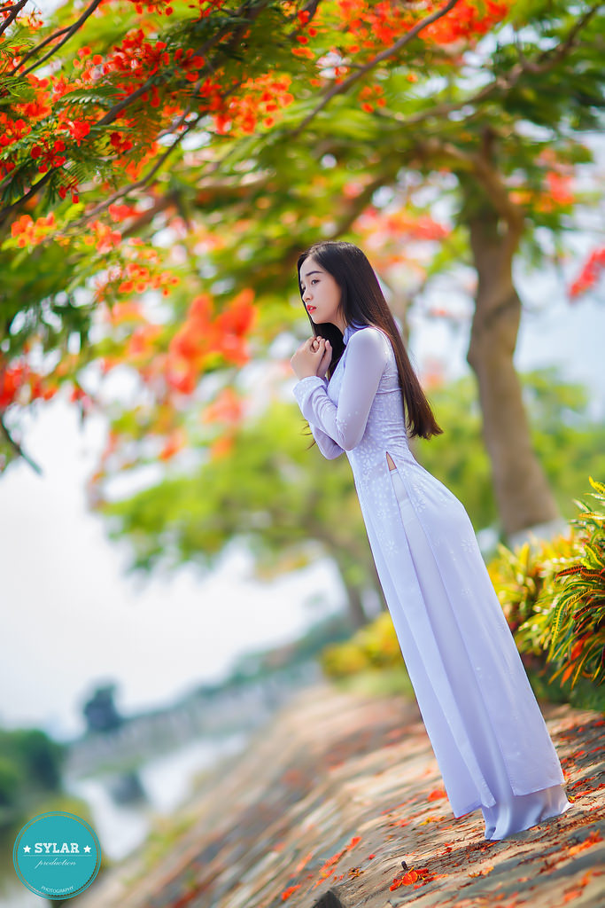 阿嬰電影
