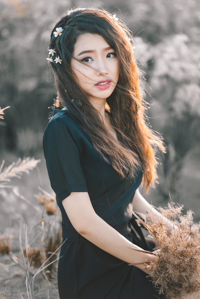 星條紅與皇室藍