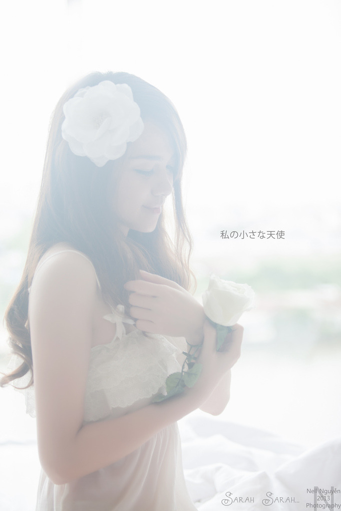 教父4