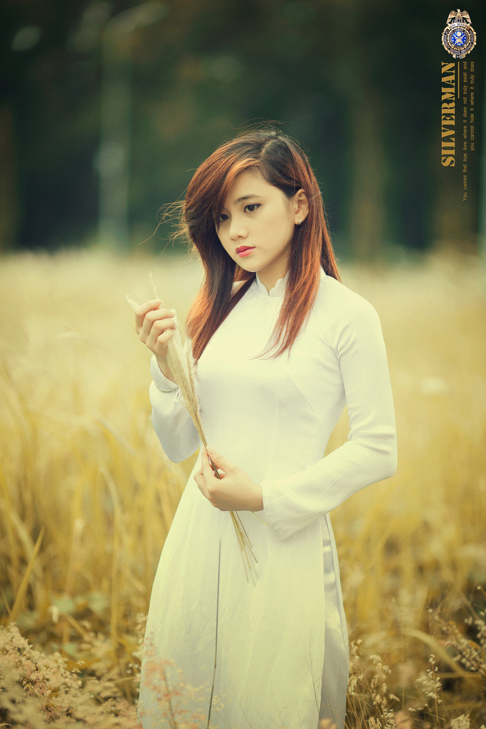 女總裁的上門女婿短劇